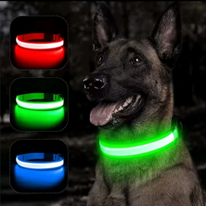 Pet Collar